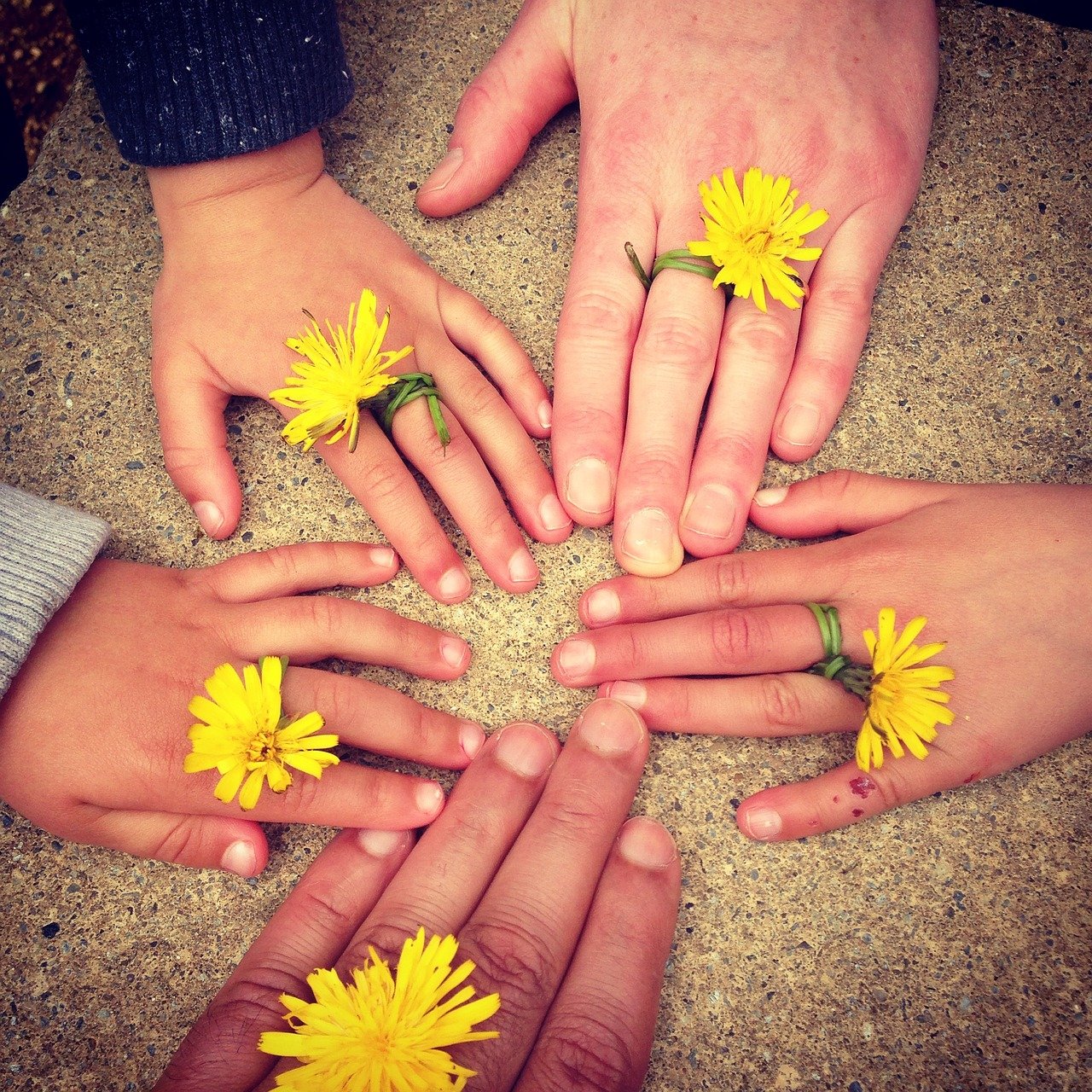 family-hand-1636615_1280 Qui suis-je?